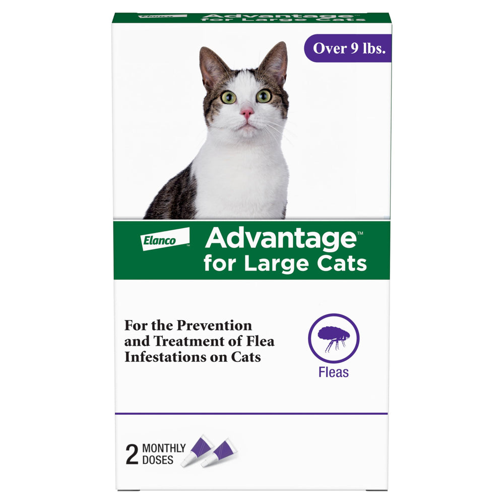 Advantage for Large Cats base-skull application for easy flea protection.