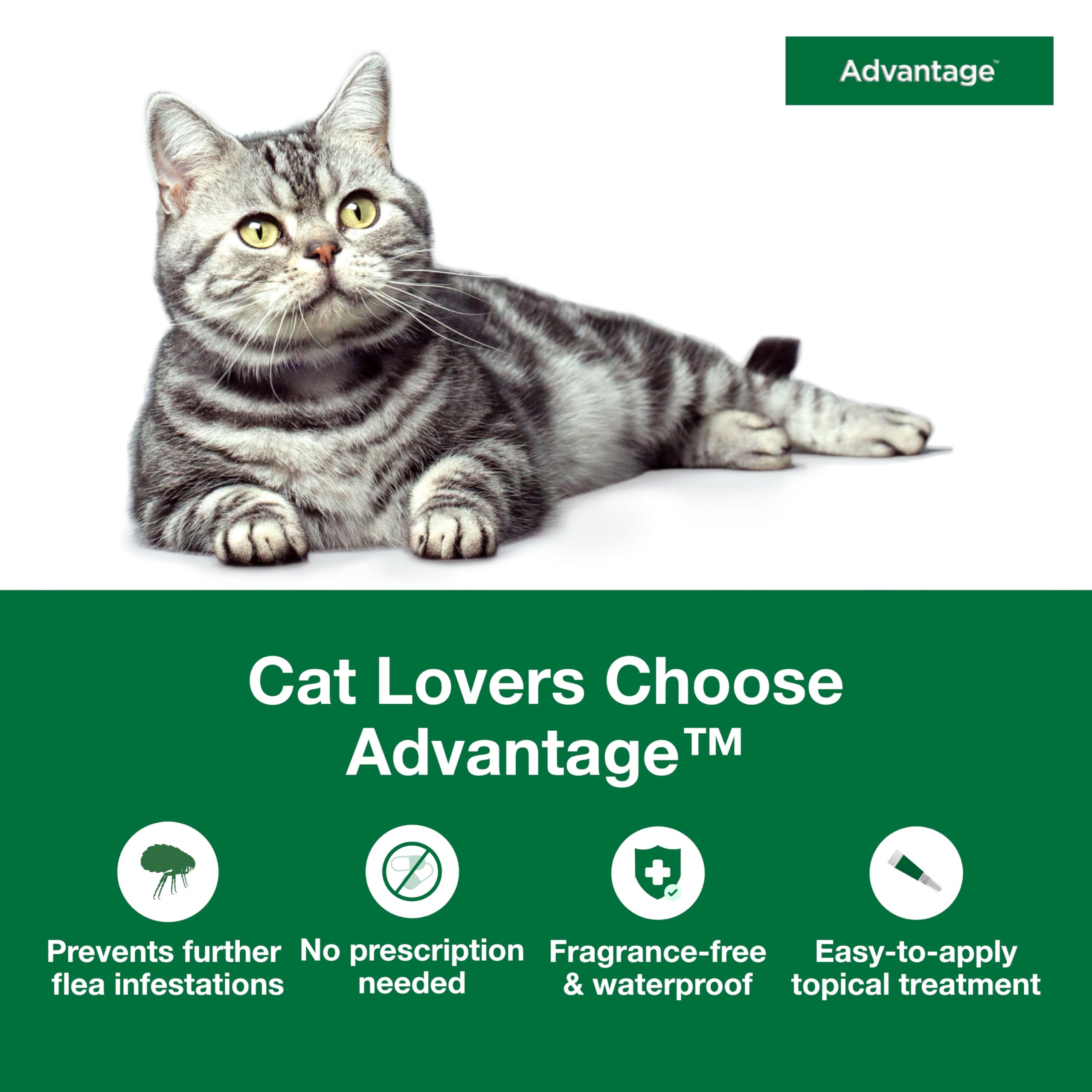 Monthly topical treatment from Advantage for ongoing protection.
