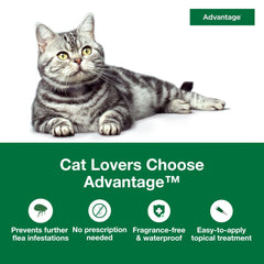 Monthly topical treatment from Advantage for ongoing protection.