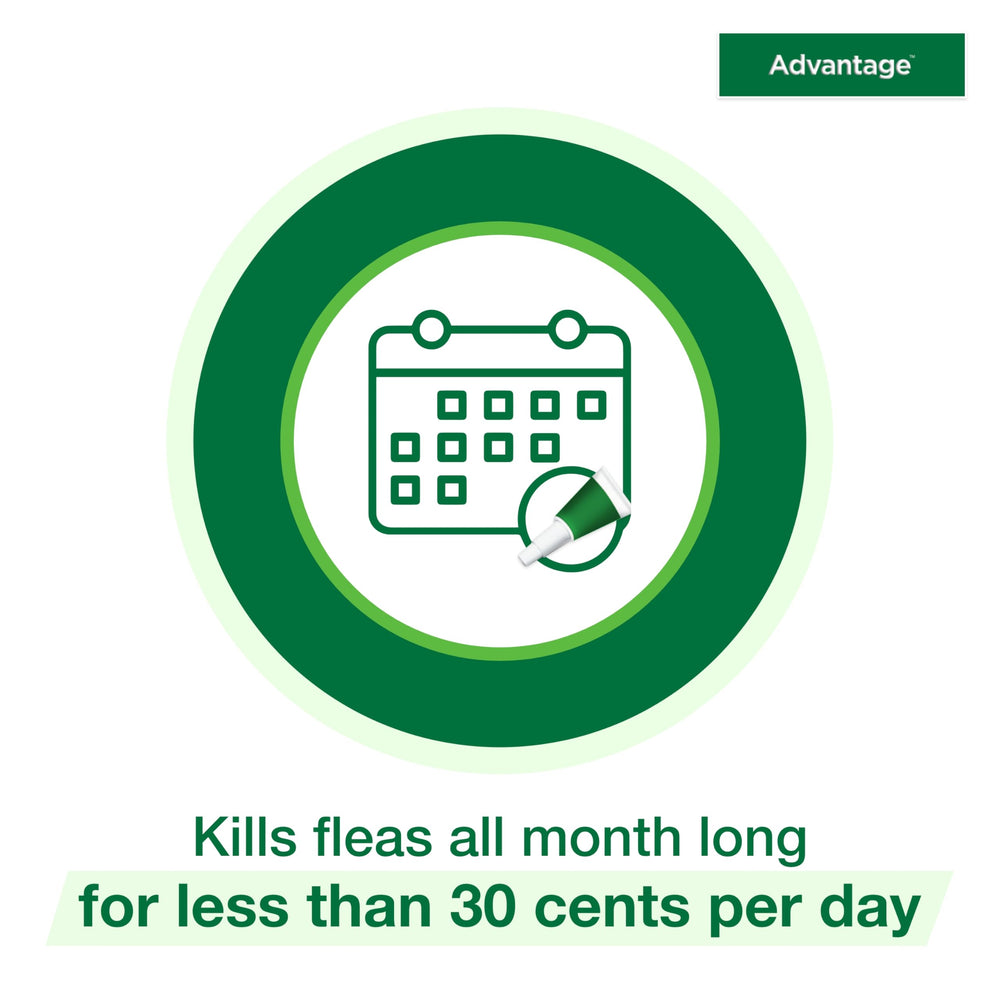 Advantage Small Cats 2-9 lbs suitability enables safe treatment for small felines.