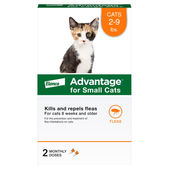Advantage Small Cats bottle drops application demonstrates easy topical flea treatment.