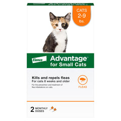 Advantage Small Cats bottle drops application demonstrates easy topical flea treatment.
