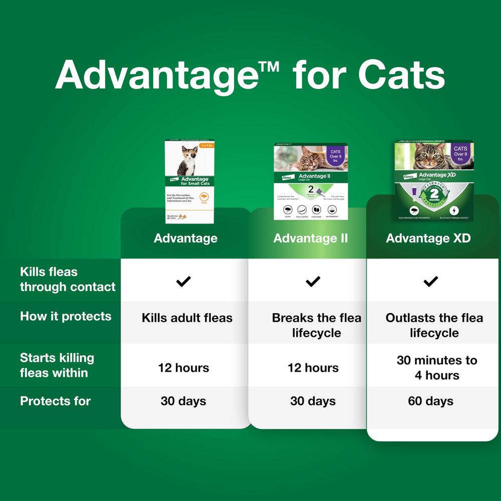 Advantage Small Cats flea kill within 12 hours shows fast relief after application.