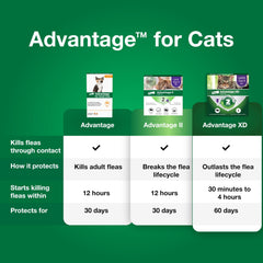 Advantage Small Cats flea kill within 12 hours shows fast relief after application.