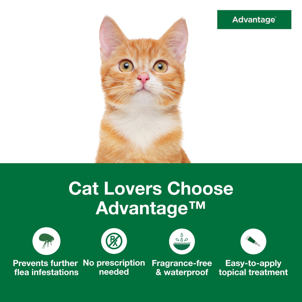 Advantage Small Cats monthly protection highlights month-long flea prevention and simple reapplication.