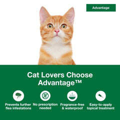 Advantage Small Cats monthly protection highlights month-long flea prevention and simple reapplication.