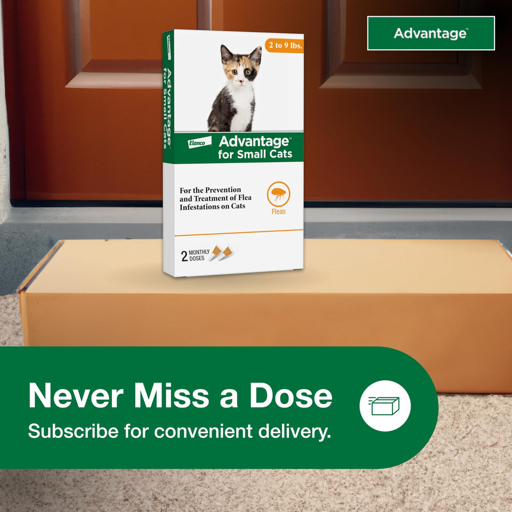 Advantage Small Cats no prescription option provides convenient, affordable flea protection.