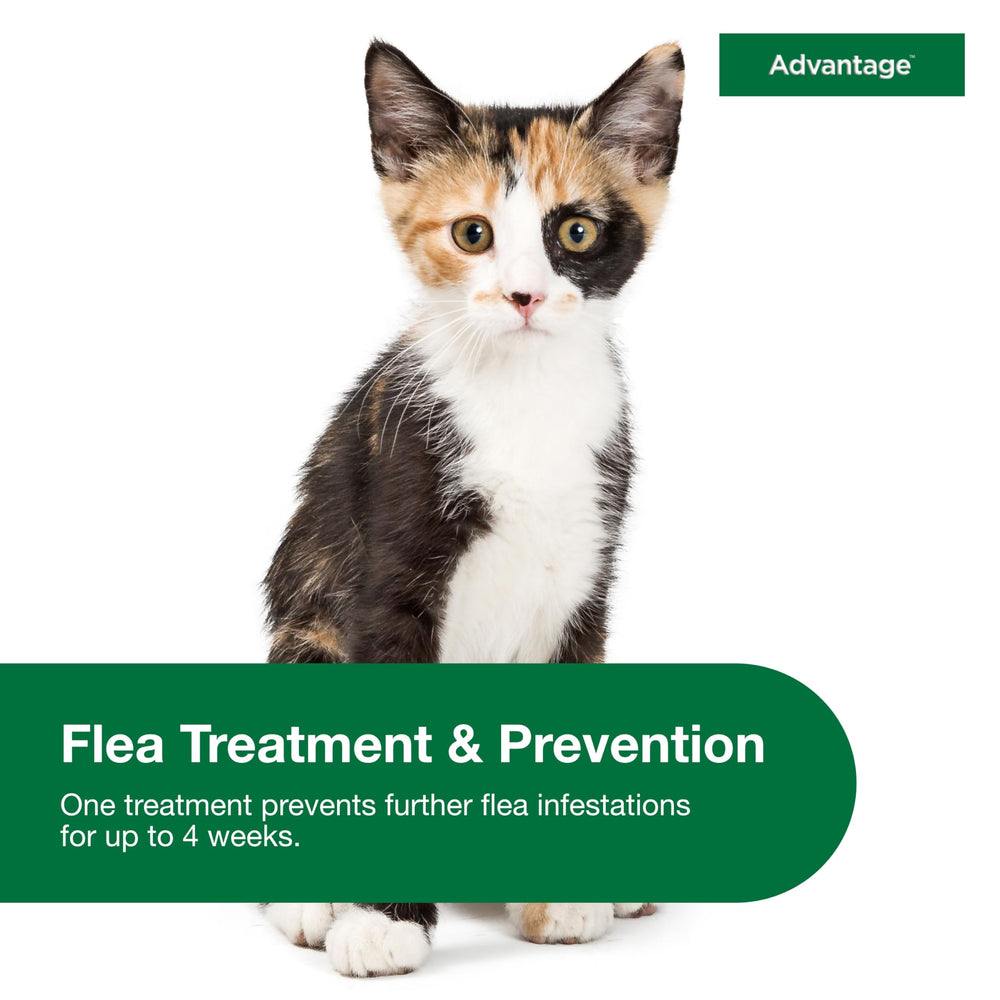 Advantage Small Cats waterproof formula ensures protection even after splashes or rain.