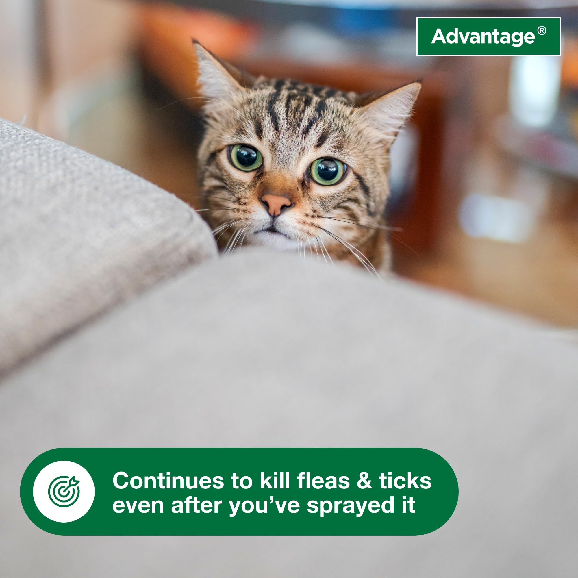 Mist from Advantage spray on a sofa for targeted control.