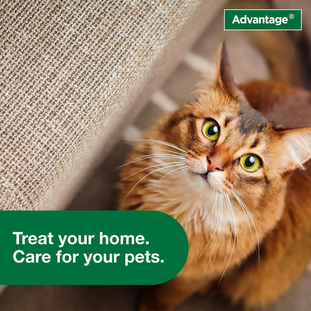 In-home usage to support a broader flea treatment plan.