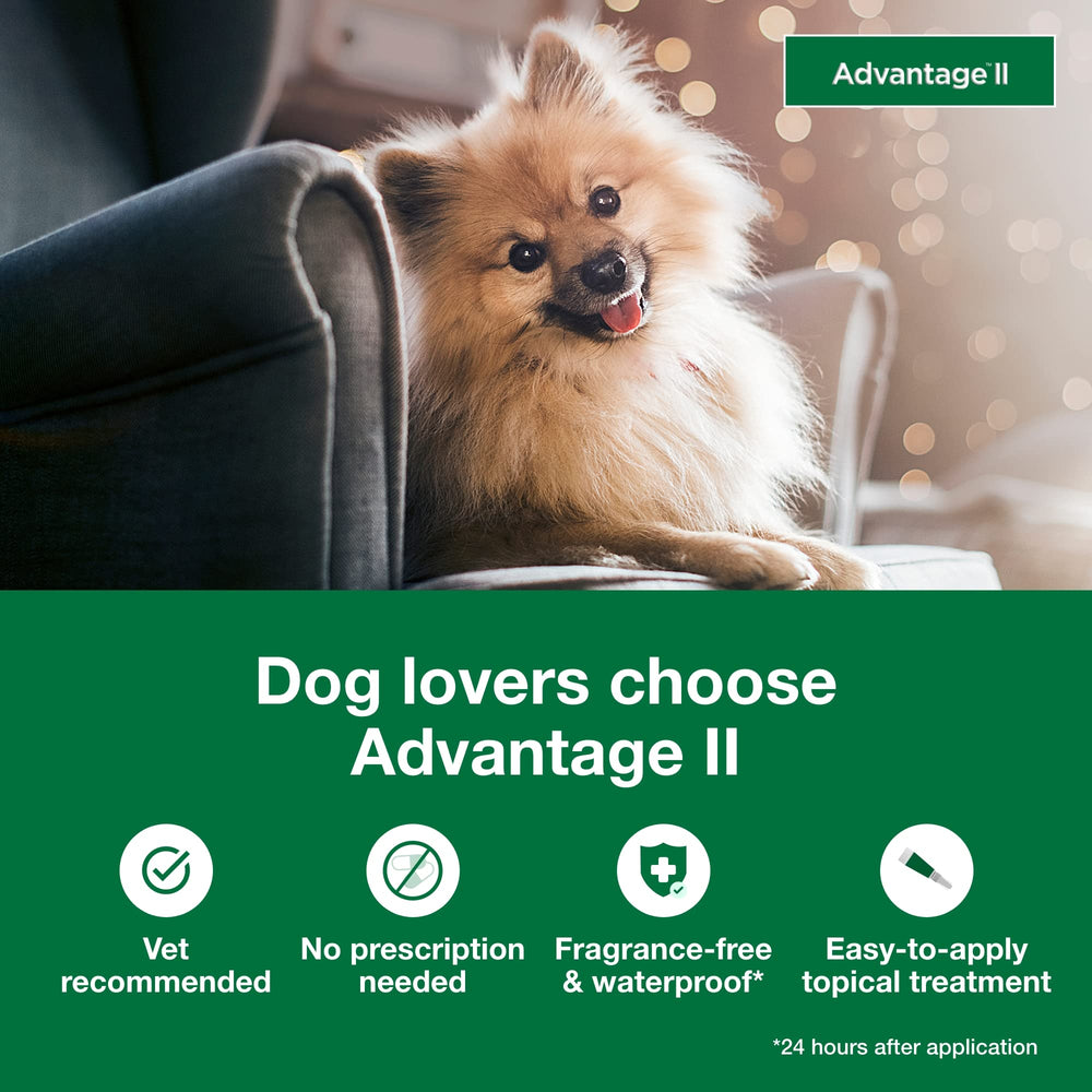 Advantage II Small Dog topical application being applied to a small dog