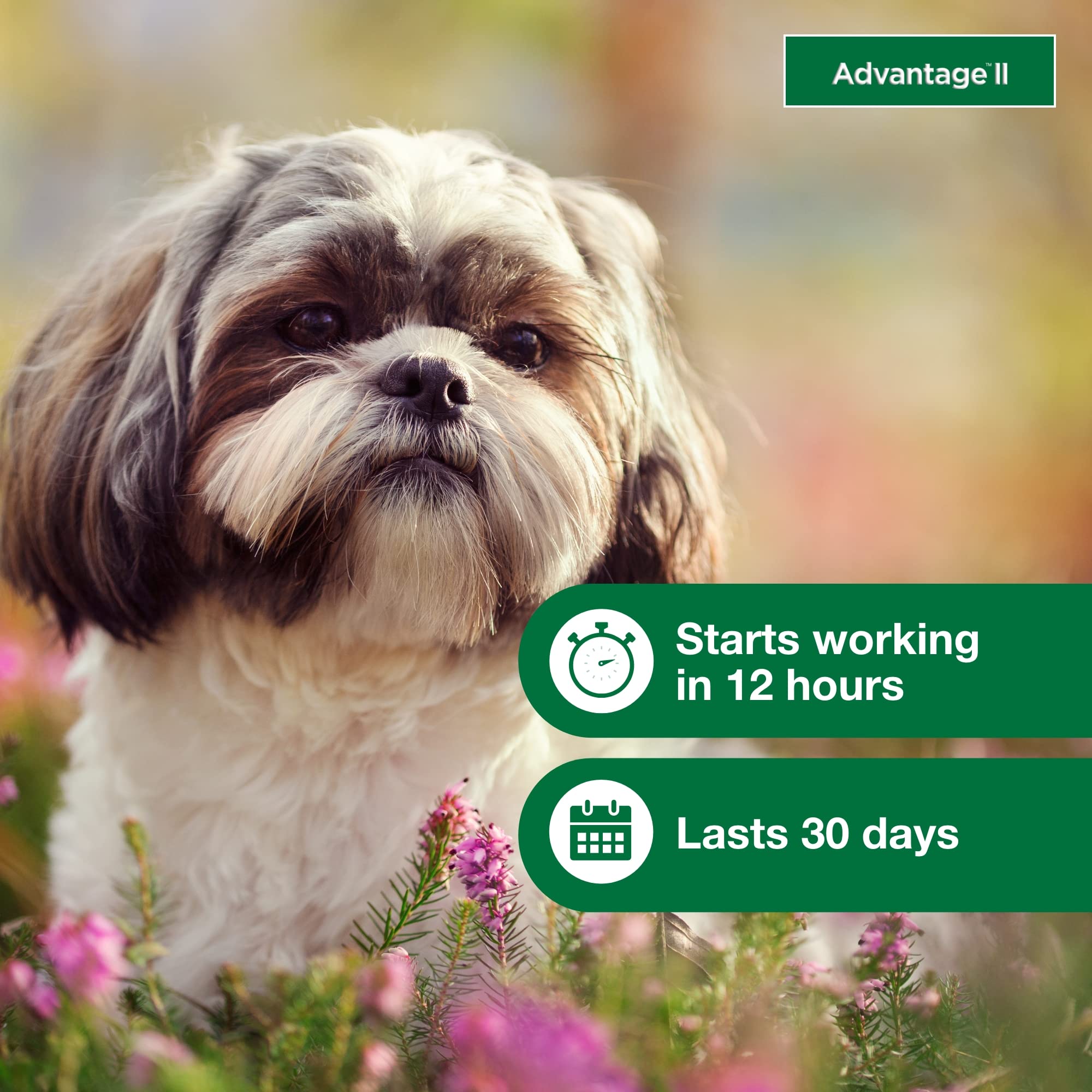 Advantage II Small Dog bottle shown with waterproof feature after 24 hours