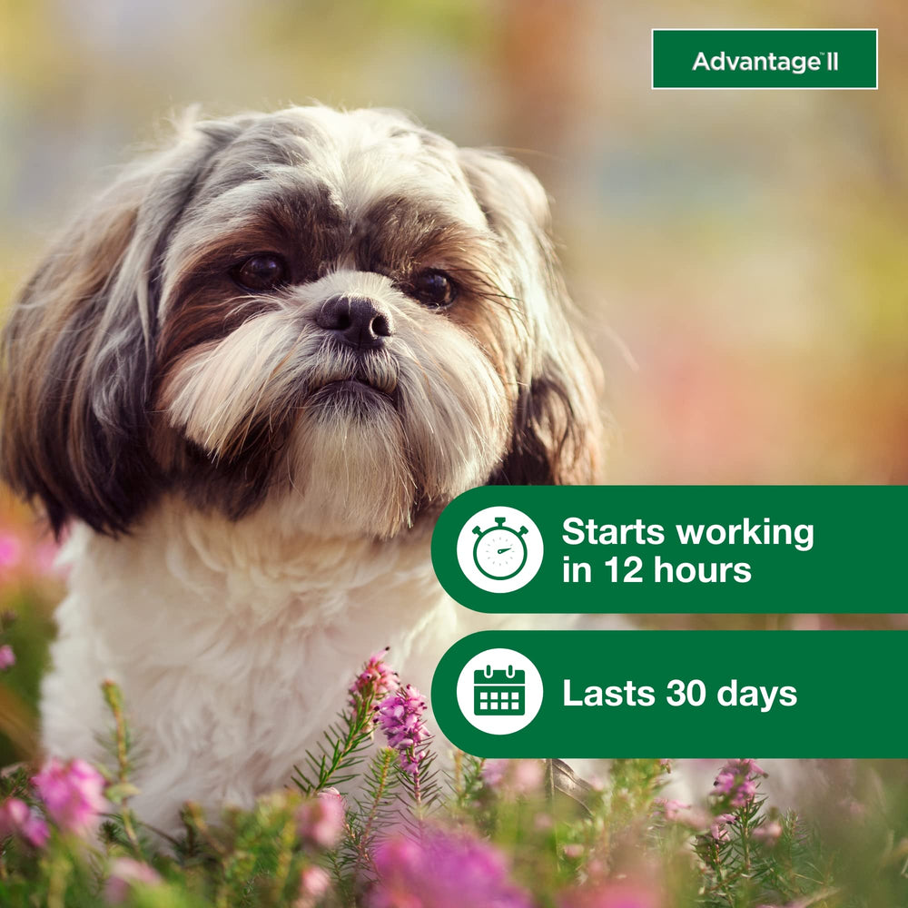 Advantage II Small Dog bottle shown with waterproof feature after 24 hours