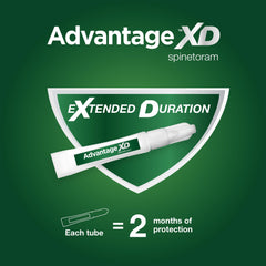 Advantage XD packaging highlights fast-acting flea control within minutes to hours.