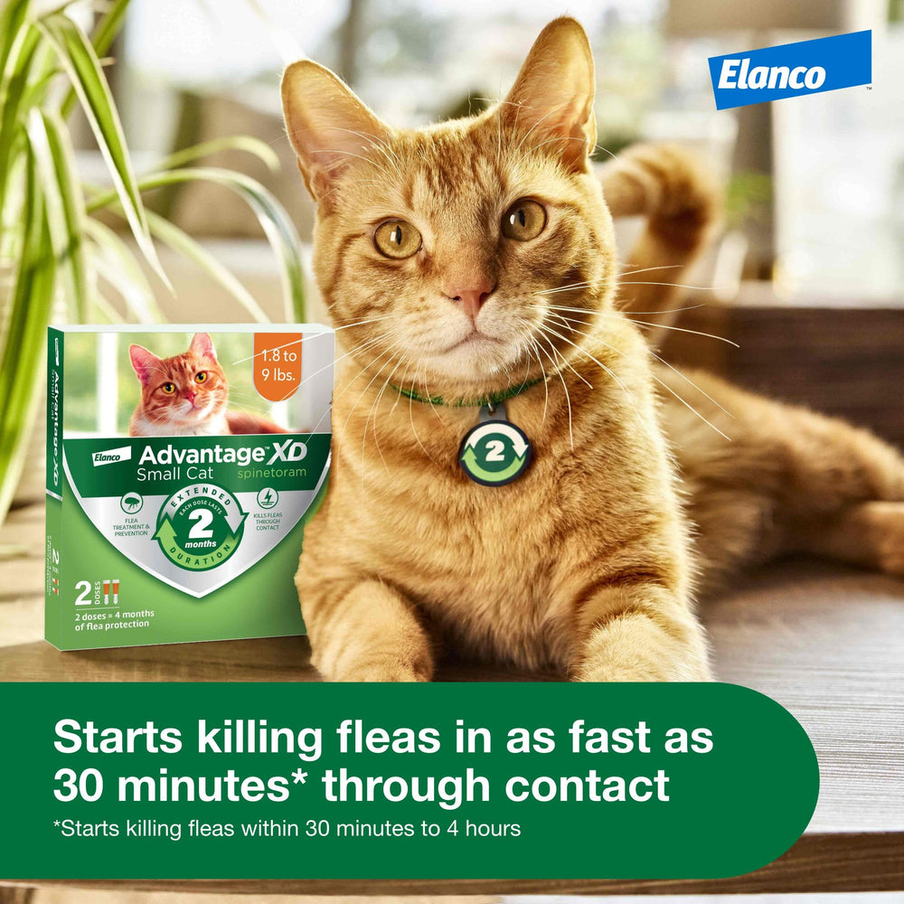 Fragrance-free Advantage XD formula featuring Spinetoram for small cats.
