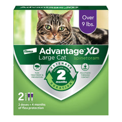 Advantage XD large-cat spot-on neck application for flea protection.