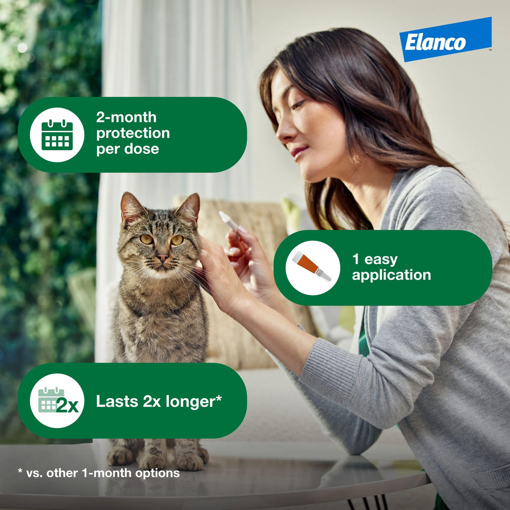 OTC Advantage XD kit for easy at-home flea protection.