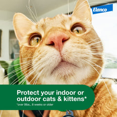 Advantage XD packaging varieties highlight two-month dose options for ongoing flea protection.