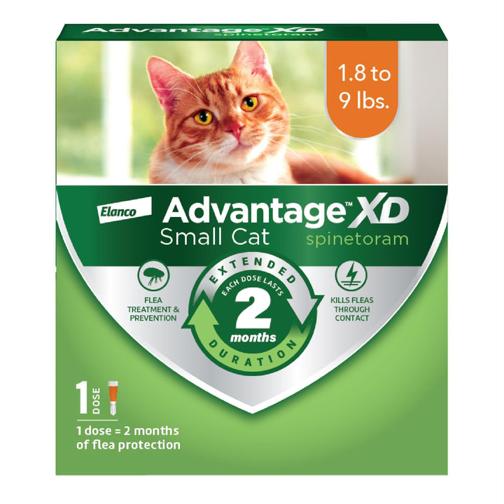 Advantage XD applied to a cat's neck for quick flea protection.