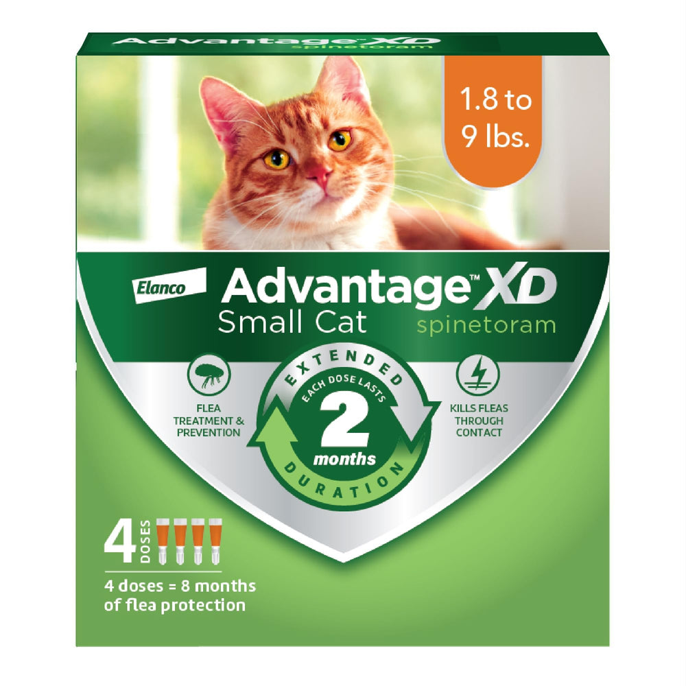 Advantage XD small cat flea treatment applied on back of the neck for quick protection.