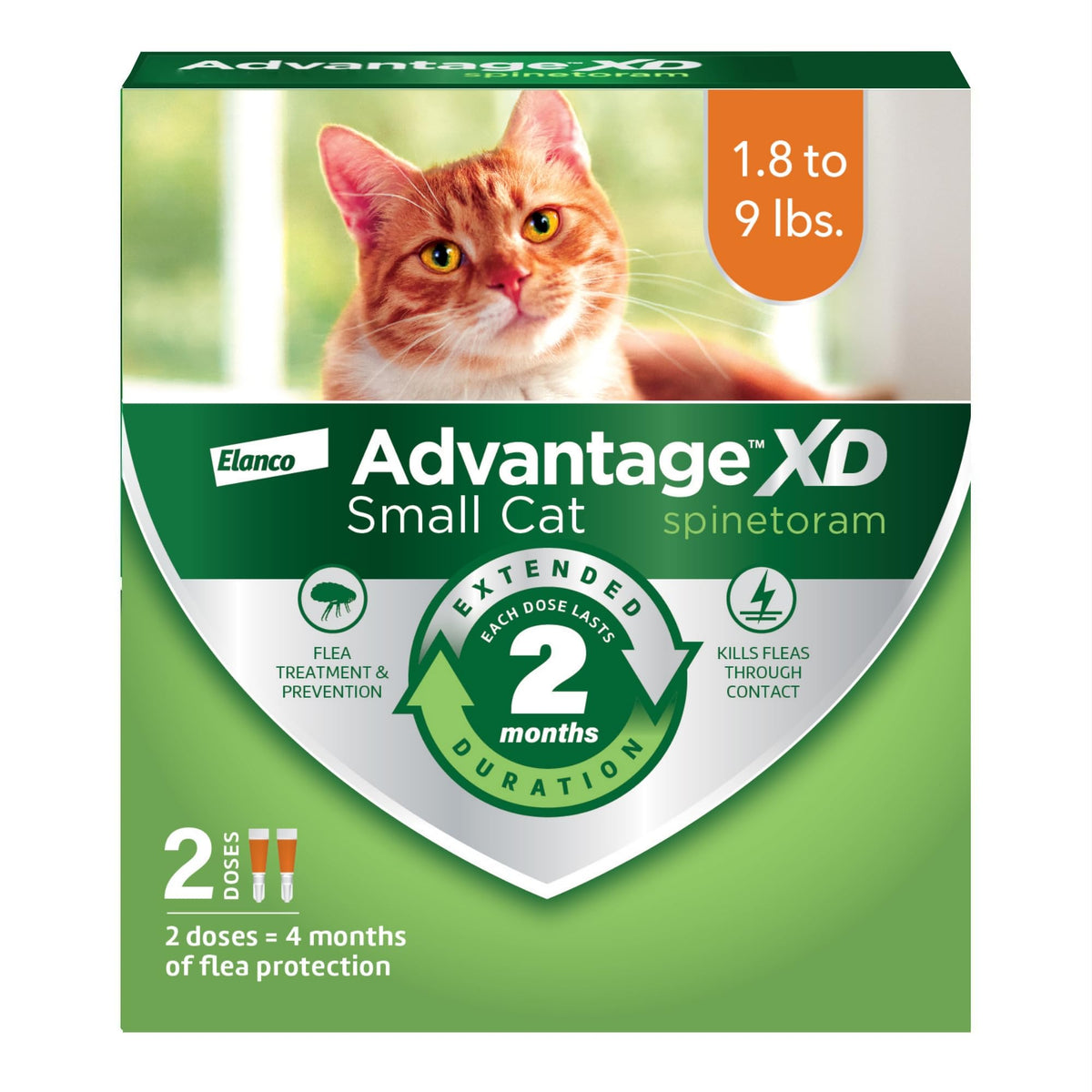 Advantage XD bottle spot-on application on a small cat for fast flea protection.
