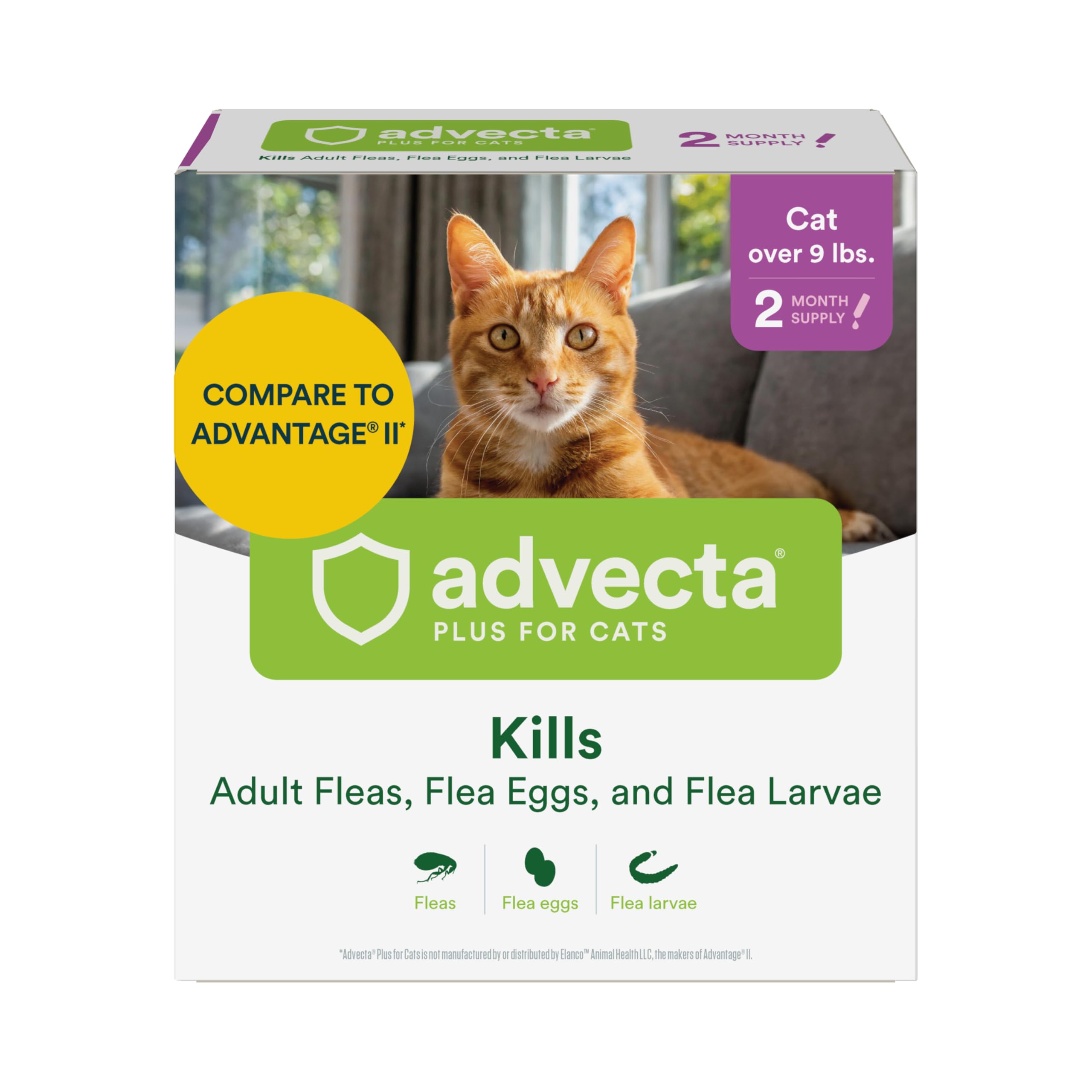Advecta Plus cat flea treatment bottle showing prompt action for fleas