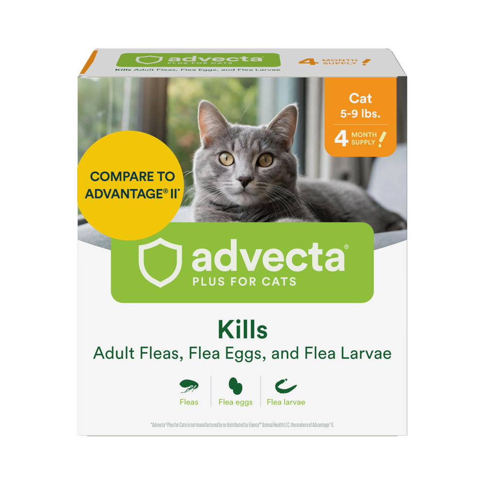 Advecta Plus bottle front view, fast-acting topical flea treatment for cats.