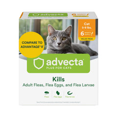 Advecta Plus cat flea treatment application on fur shows quick flea control.