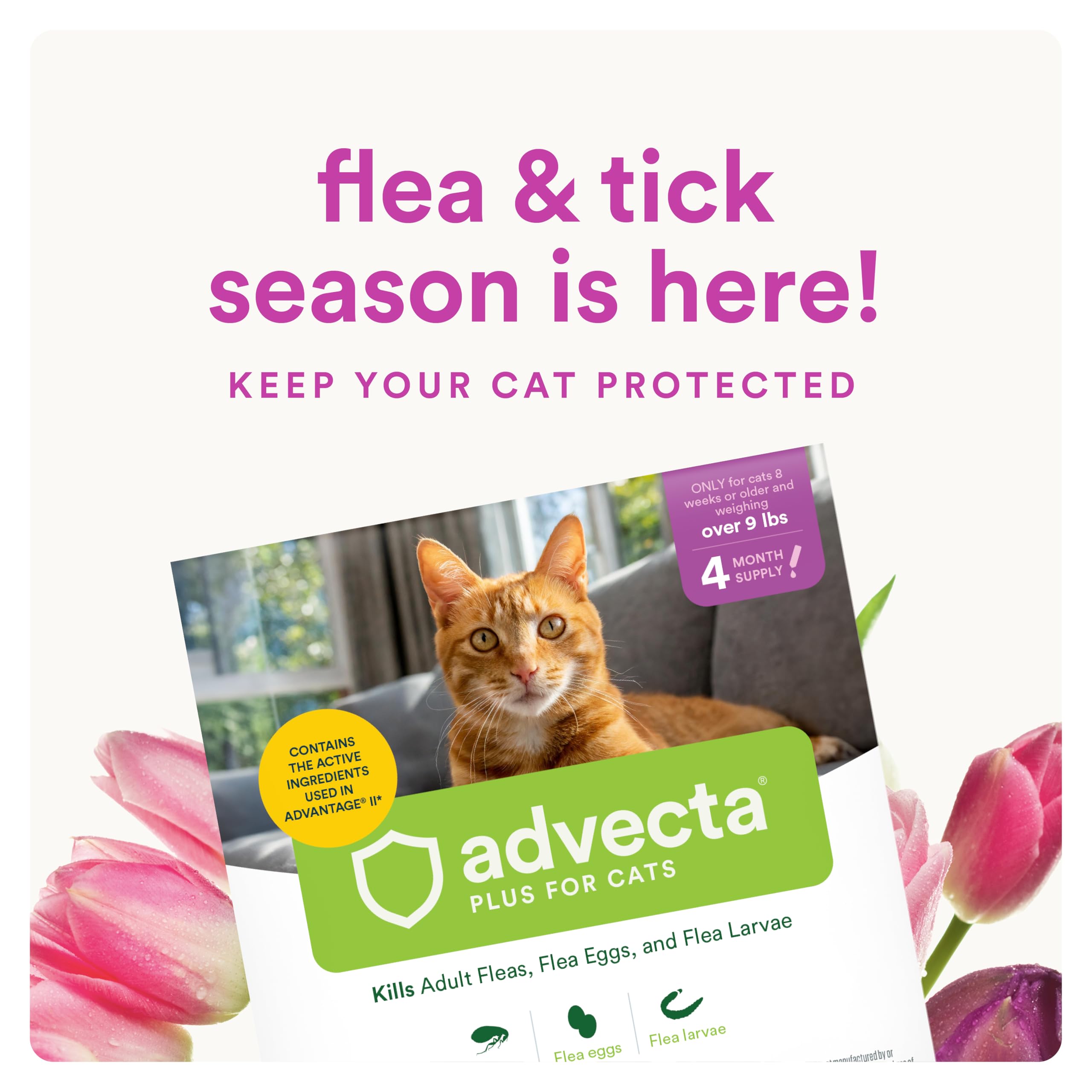 Advecta Plus fast-kill-12h demonstrates rapid flea control for cats