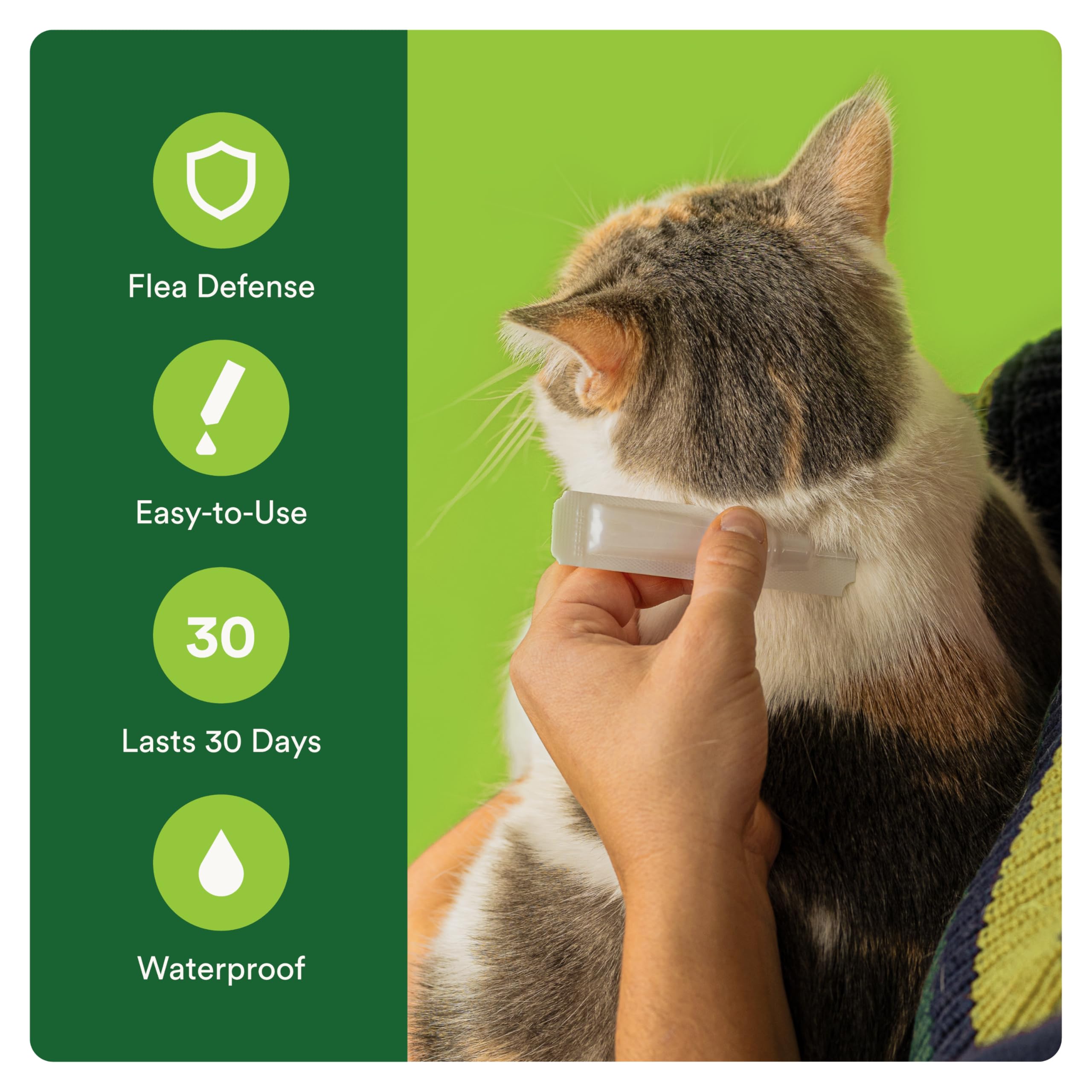Advecta Plus monthly prevention supports ongoing flea protection.