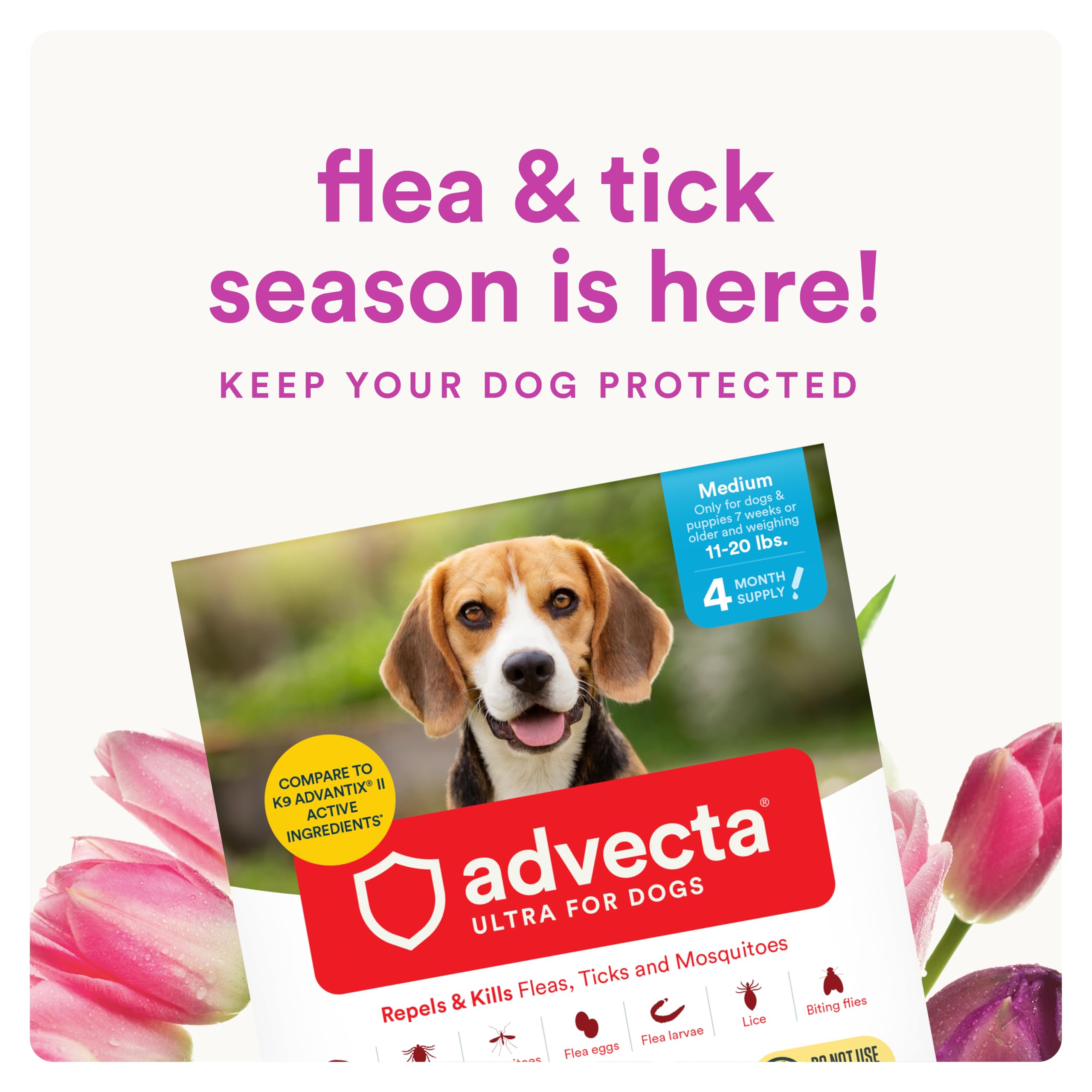 Advecta Ultra topical drops applied on dog's back for quick protection.