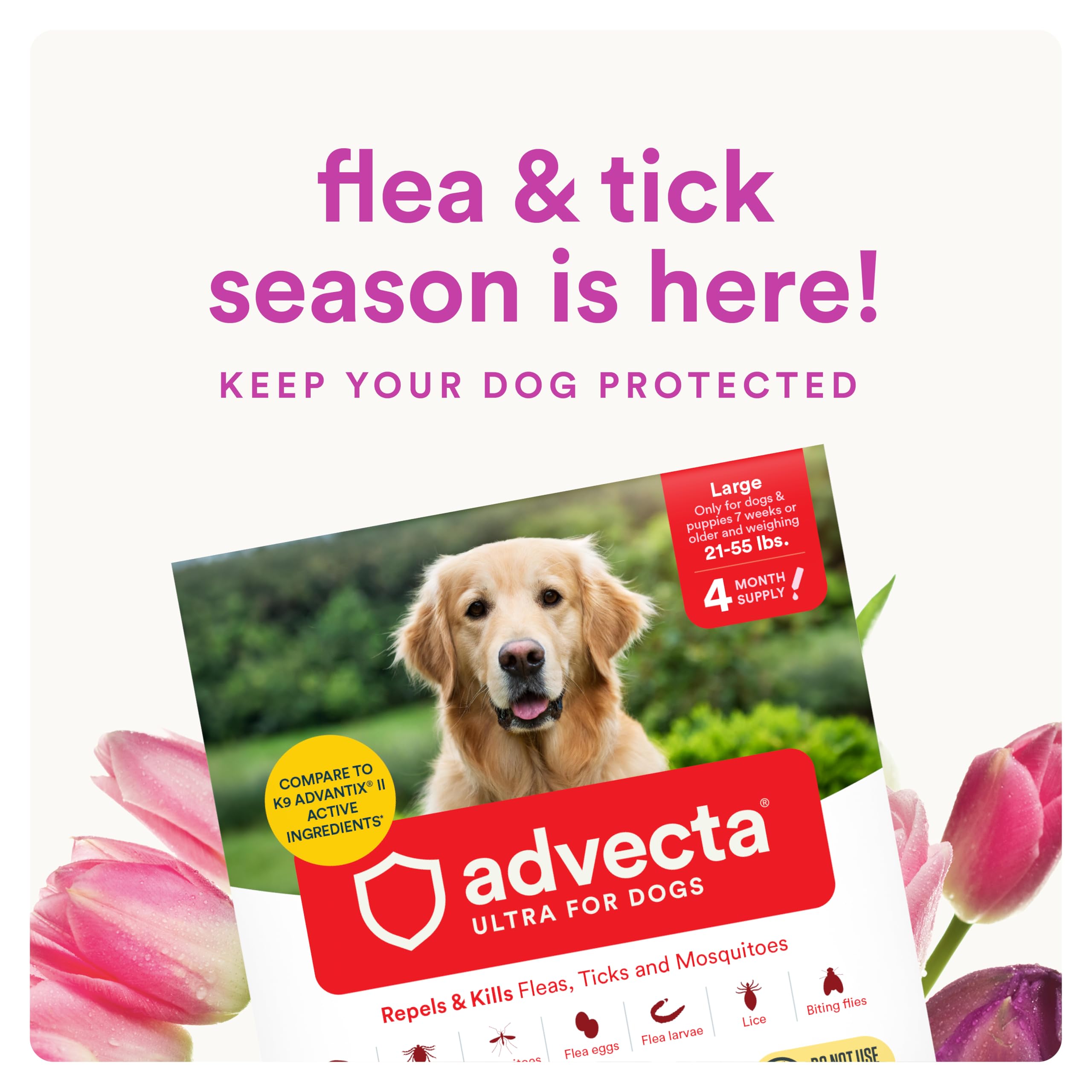 Close-up of Advecta Ultra being applied to a dog's coat.