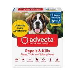 Advecta Ultra topical application on a dog's coat for flea protection during outdoor walks