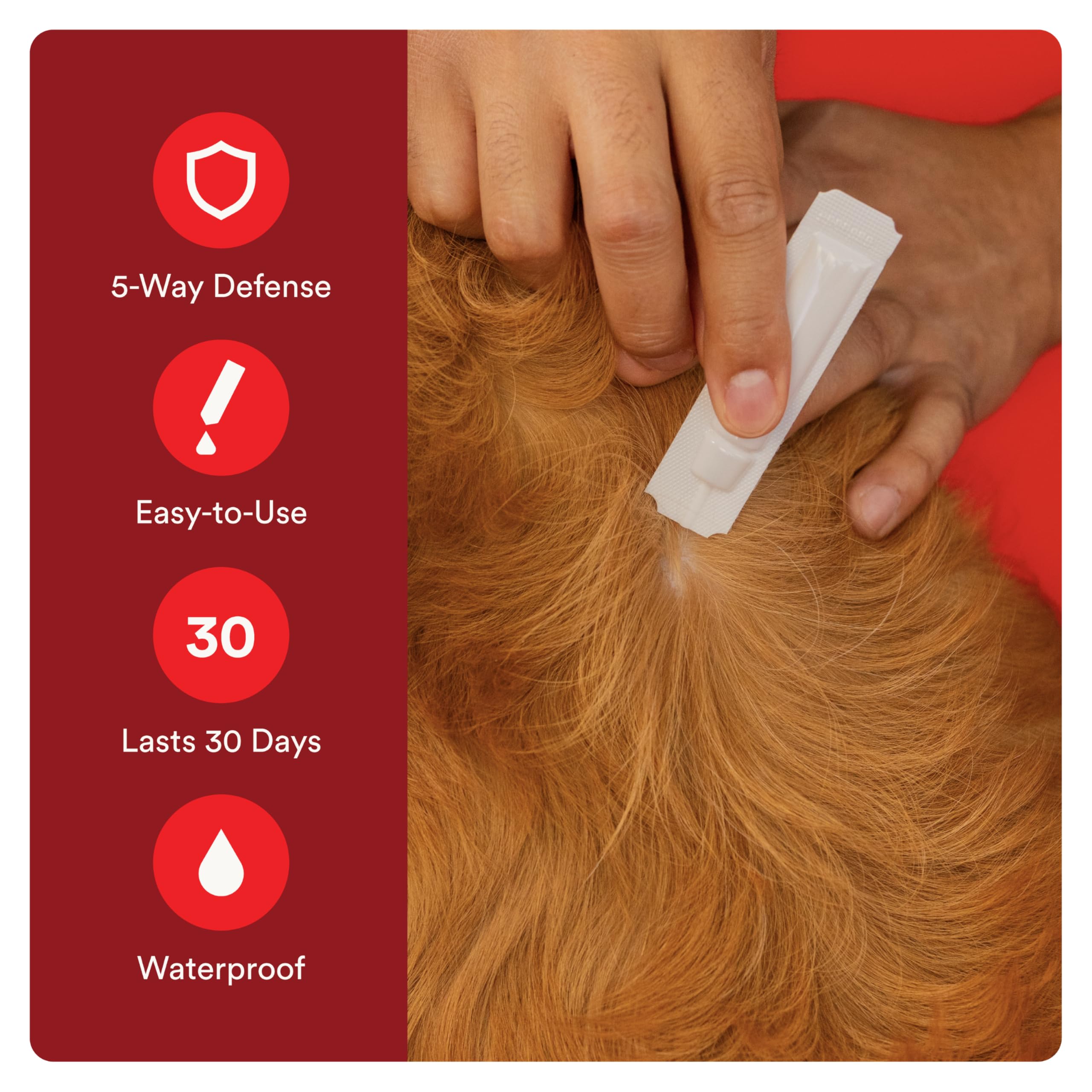 Advecta Ultra protecting against fleas, ticks, and mosquitoes during outdoor adventures