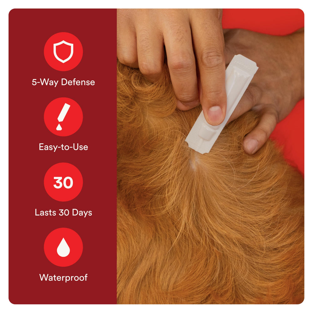 Advecta Ultra protecting against fleas, ticks, and mosquitoes during outdoor adventures