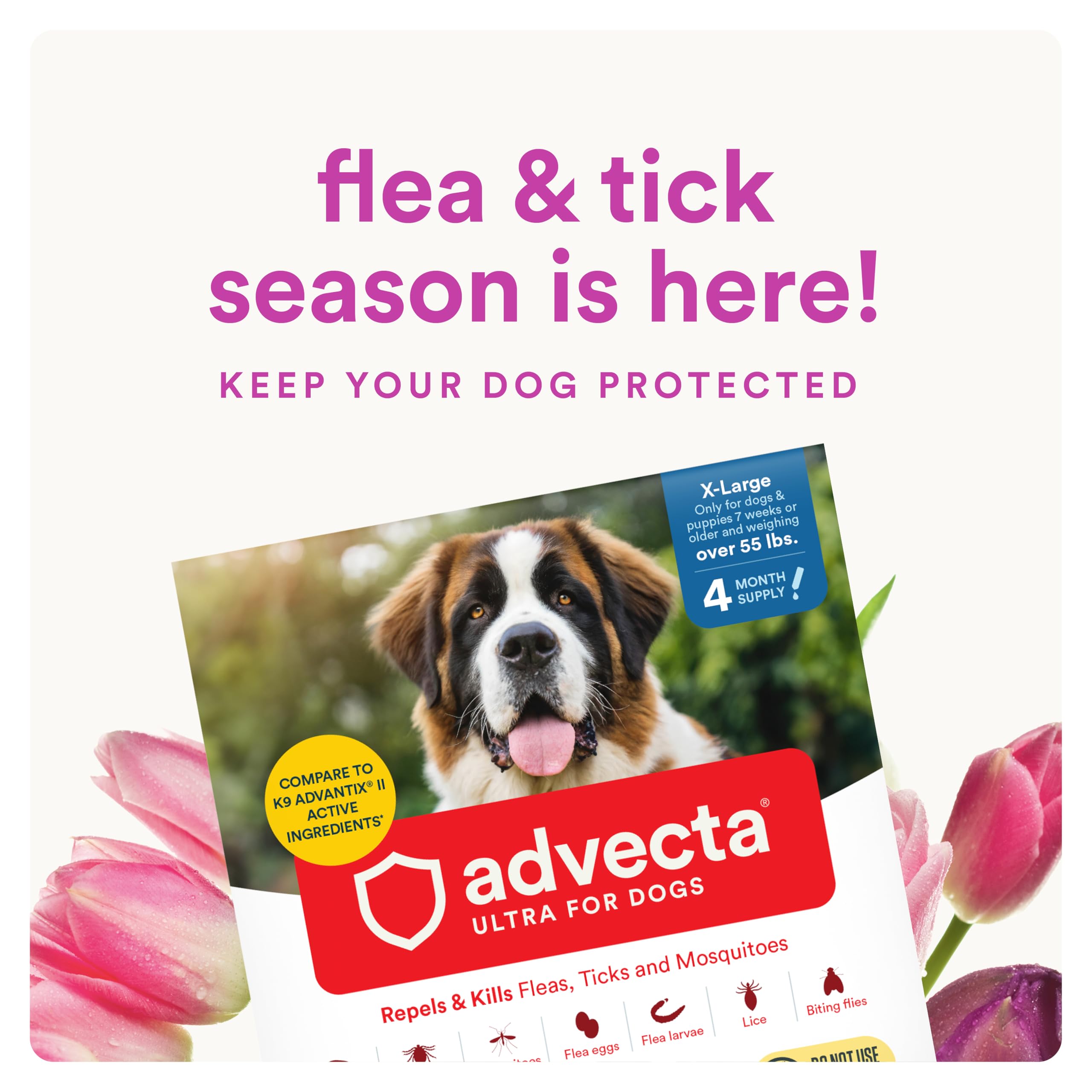 Advecta Ultra packaging front highlighting a four-month supply for extra large dogs.