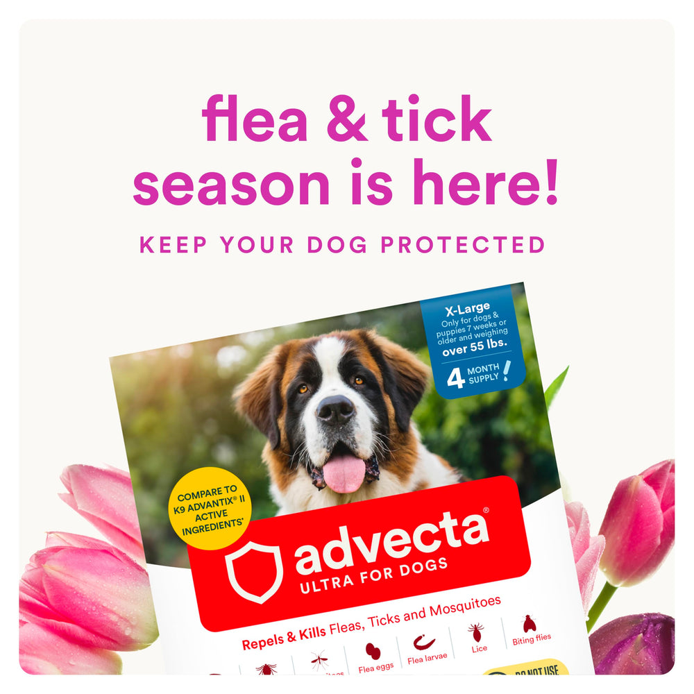Advecta Ultra packaging front highlighting a four-month supply for extra large dogs.