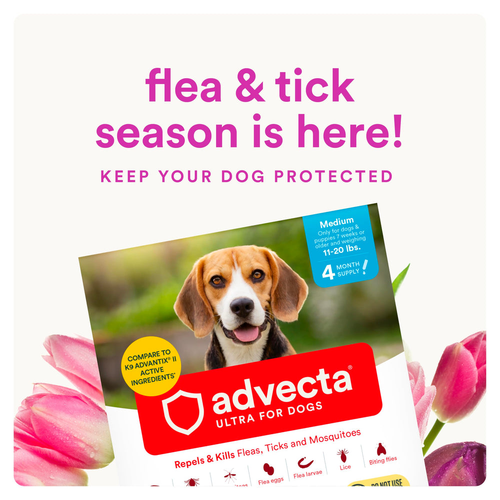 Advecta Ultra waterproof formula on dog coat protection