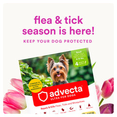 Advecta Ultra waterproof formula remains effective after water exposure on a dog.