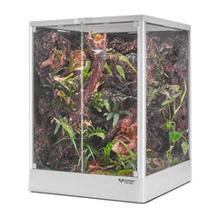 ADVINCI Reptile Terrarium front view with secure dual-lock latches for safety.