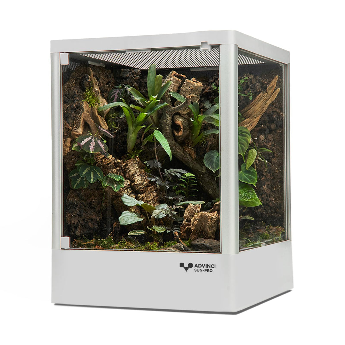 ADVINCI Reptile Terrarium front view showing clear glass for observing behavior