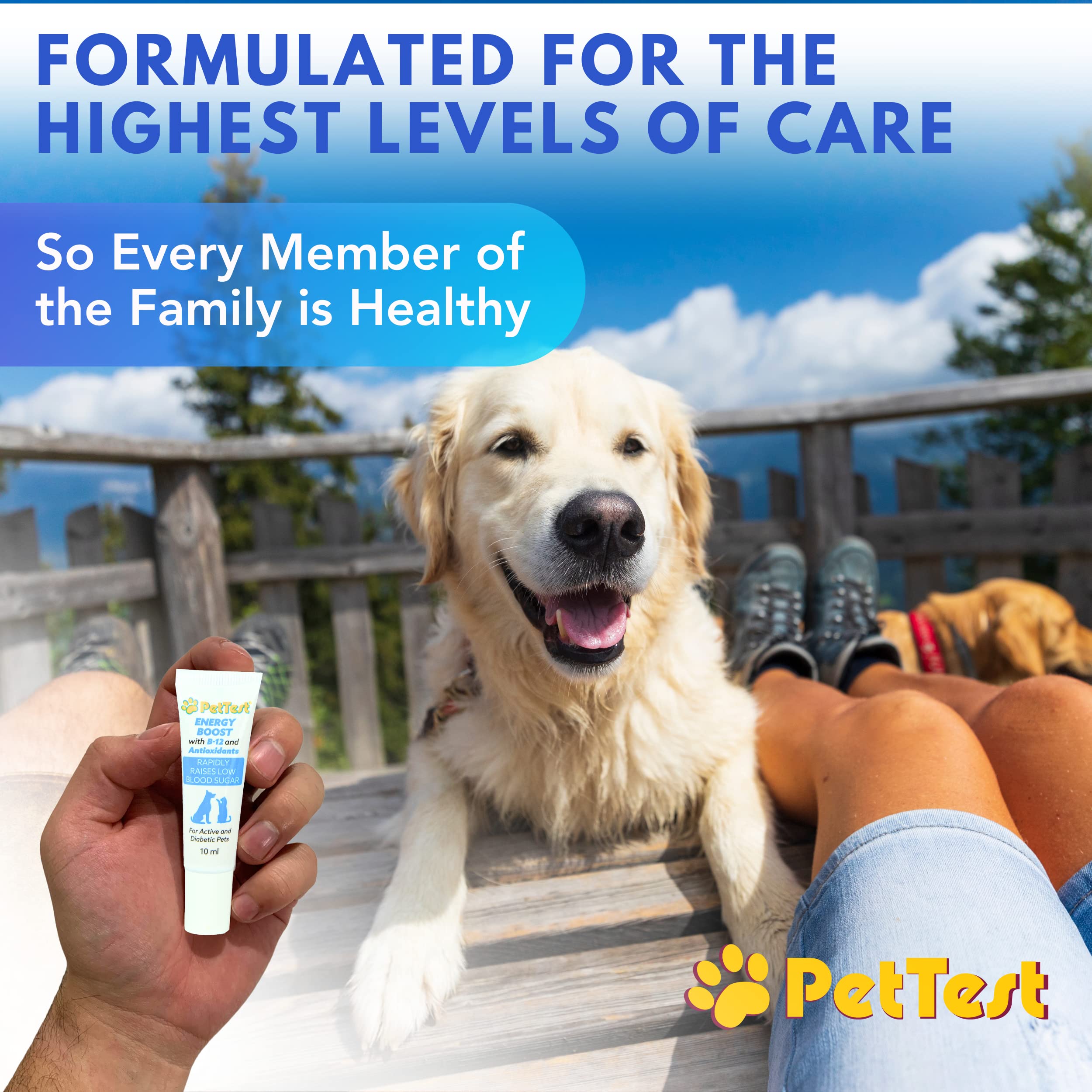 Packaging highlights Vitamin B12 and antioxidants in Energy Boost for pets.