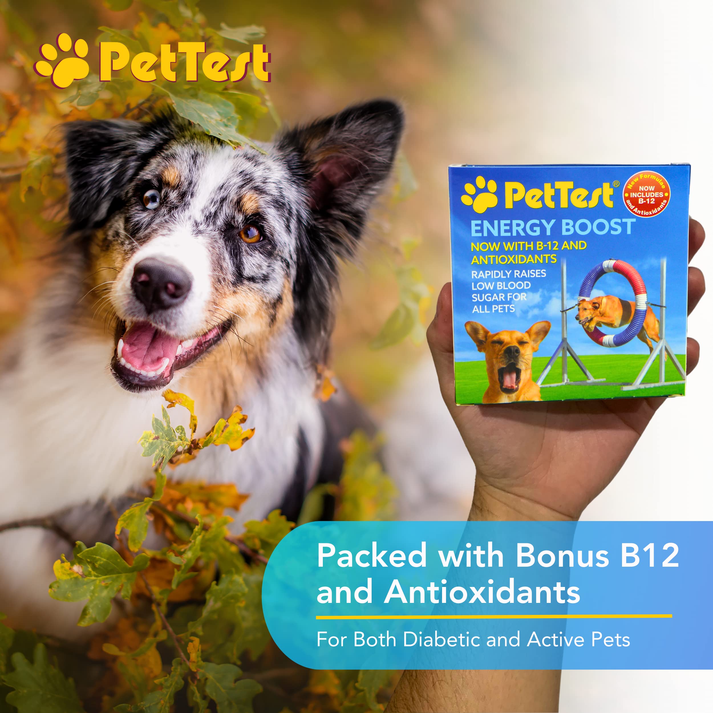 Dog and cat ready for activity with Energy Boost on hand.