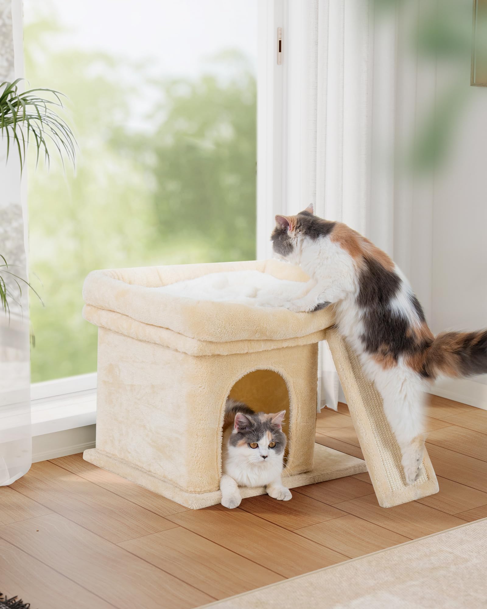 Aechonow cat tree large platform spot for lounging and room surveillance.