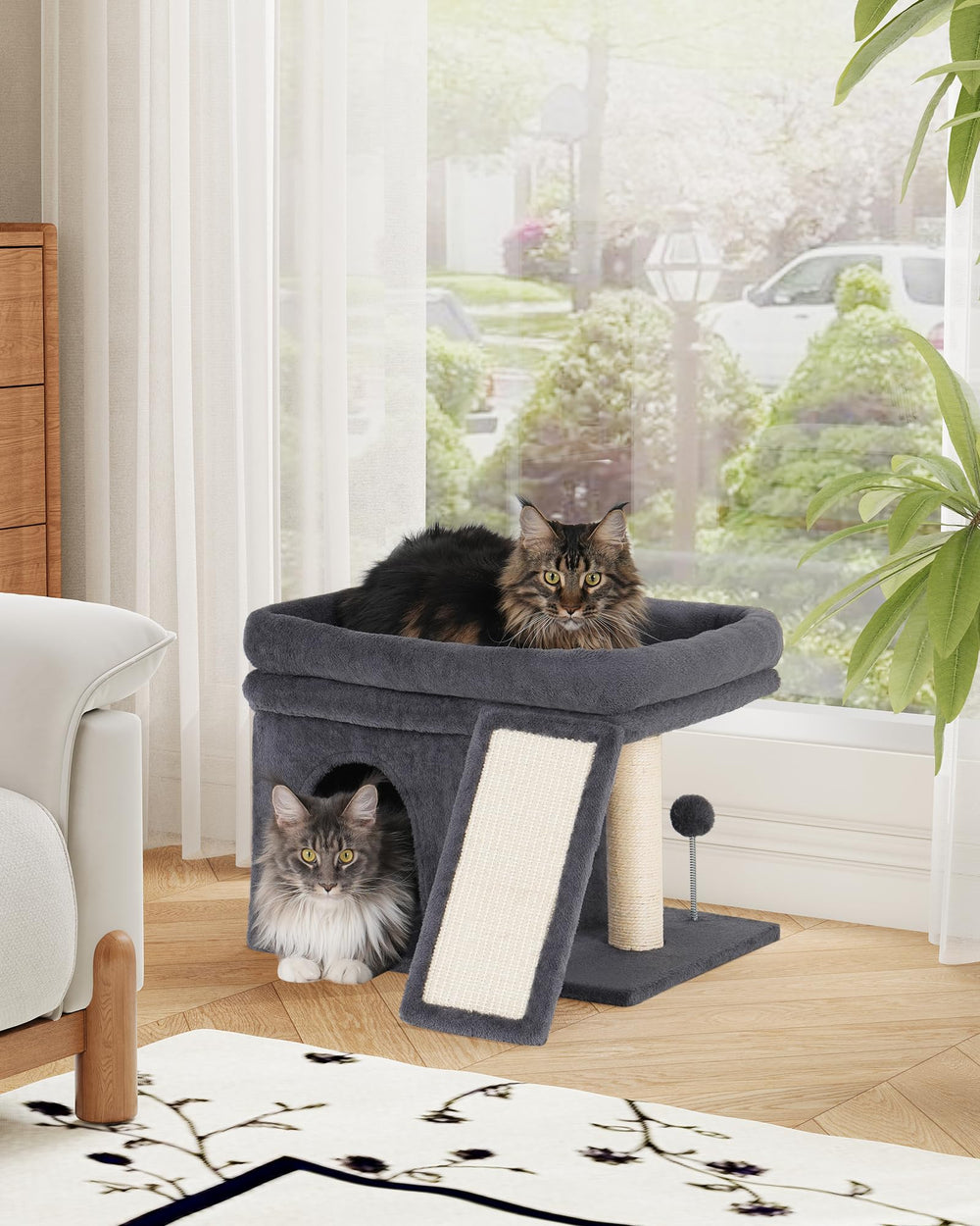 Aechonow cat tree supports multiple cats with a sturdy design