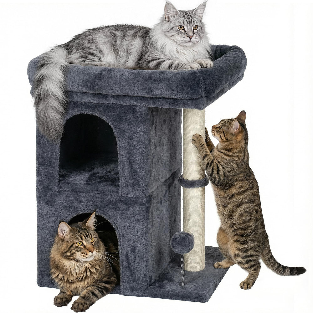 Aechonow cozy window perch offers elevated comfort for watching outdoors.