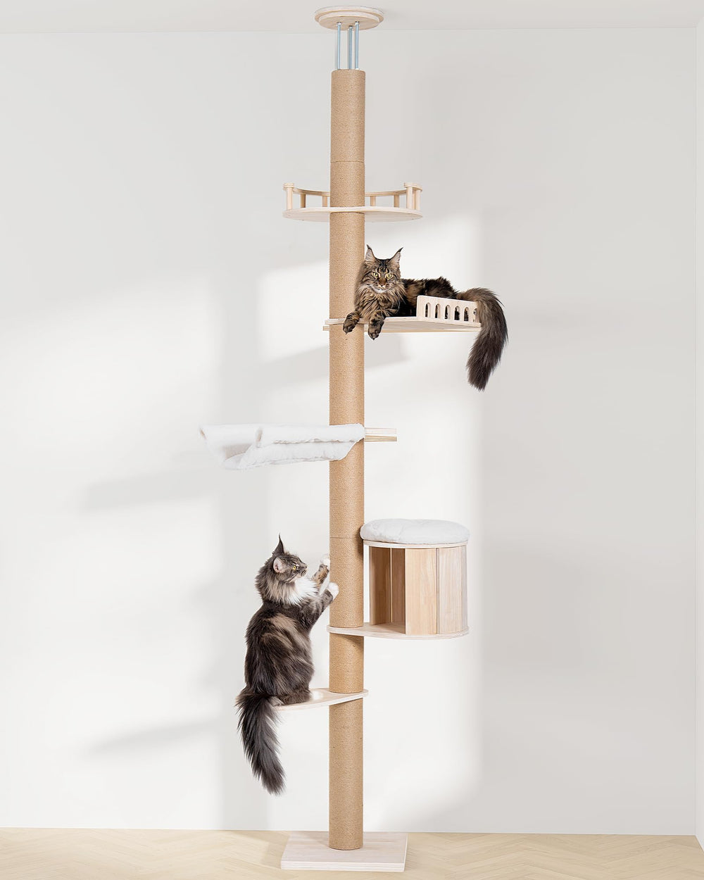 Aechonow enlarged jumping platform and fenced perch support safe exploration.