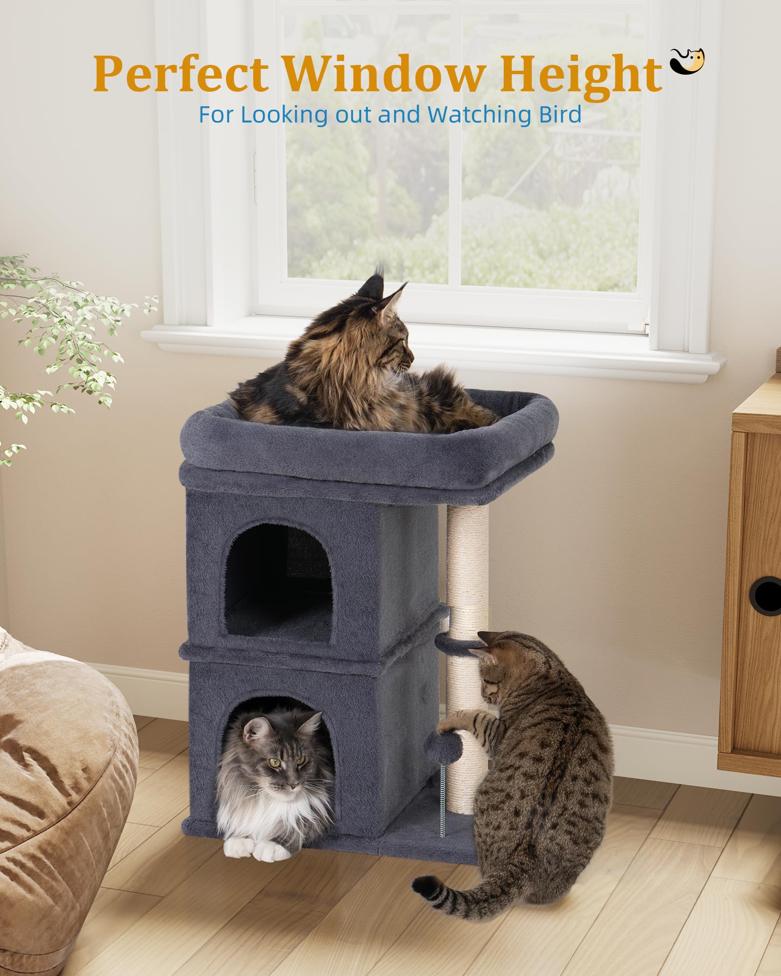 Aechonow large cat tower supports cats up to 20 lbs.