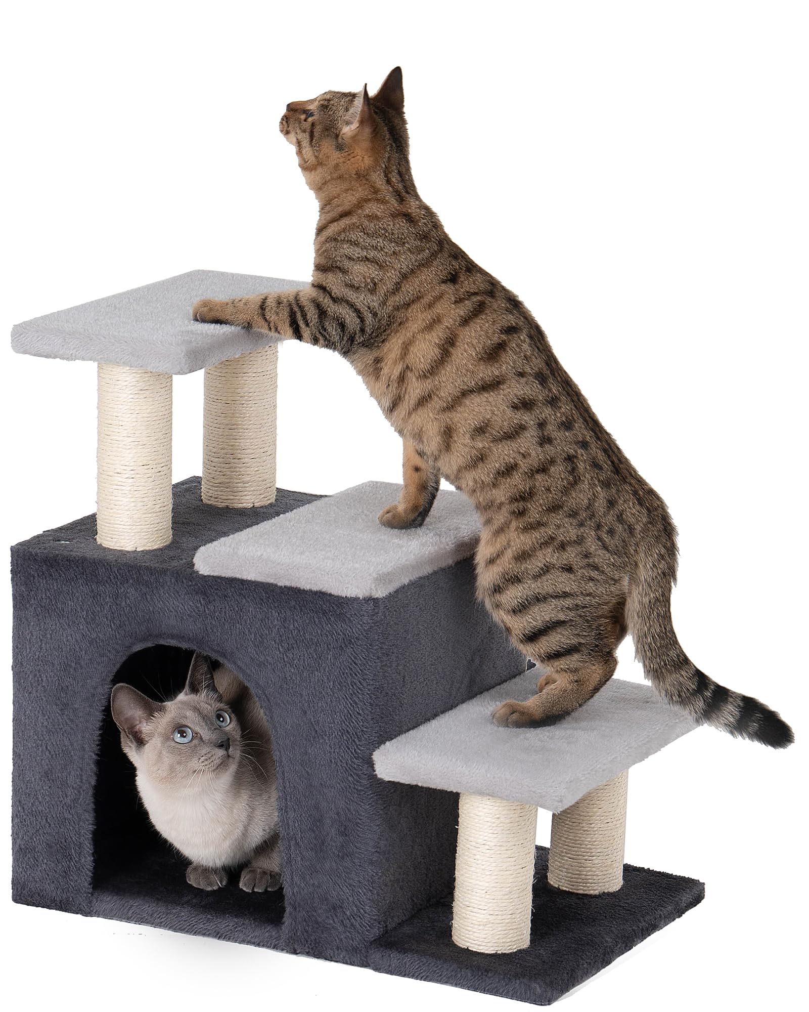 Aechonow pets reach a high bed with easy, accessible climb.