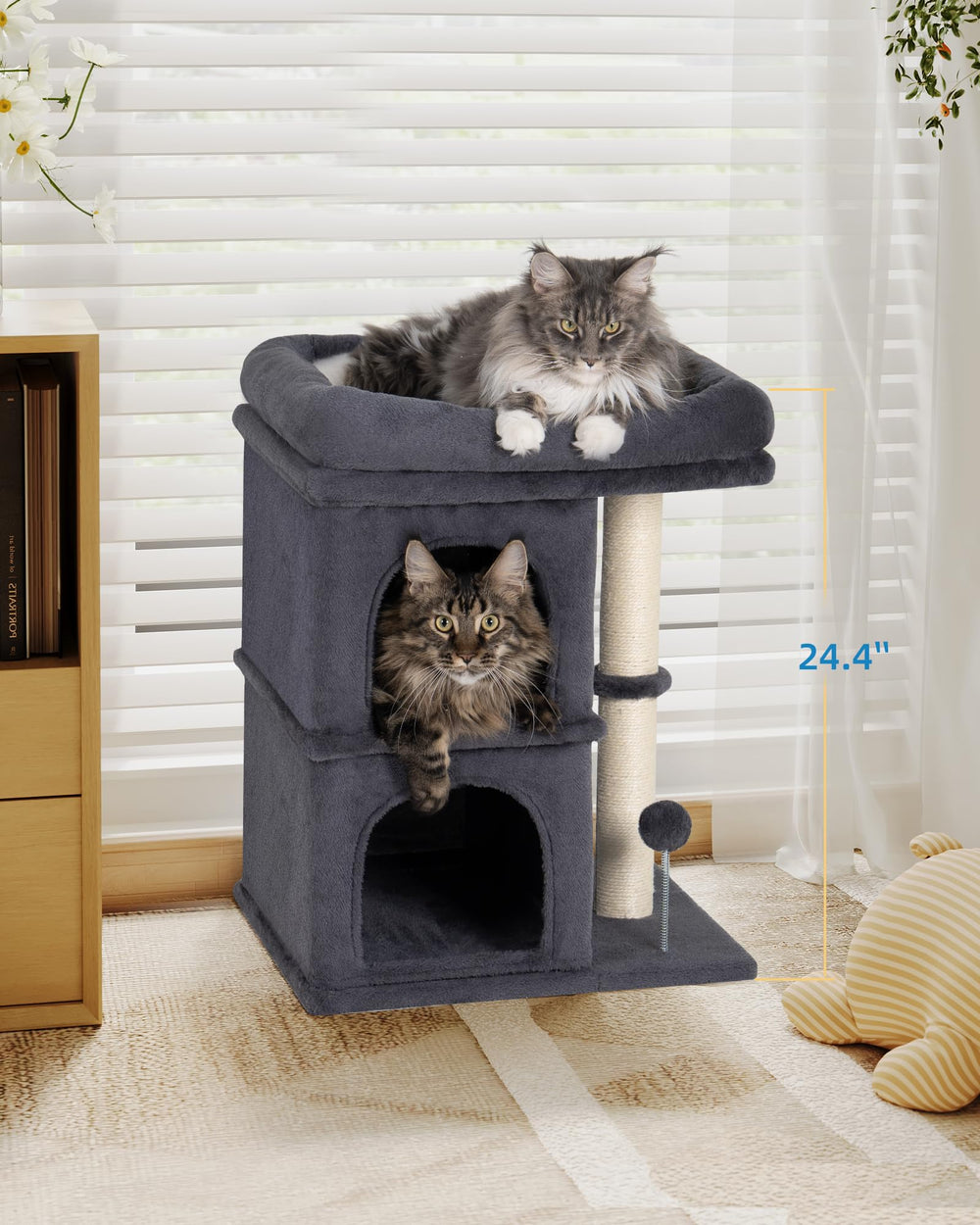 Aechonow sturdy base ensures stability for active larger cats.